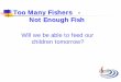 Too Many Fishers – Not Enough Fish -  · PDF fileToo Many Fishers - Not Enough Fish Will we be able to feed our children tomorrow?