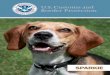 Agriculture Canine Cards - U.S. Customs and Border Protection · PDF fileSPARKIE Seattle, Washington Breed Year Started Beagle 2010 Specialization Agriculture Products Detection Notable