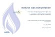 Natural Gas Dehydration - US EPA · PDF fileNatural Gas Dehydration Innovative Technologies for the Oil & Gas Industry: Product Capture, Process ... (TEG) Glycol dehydrators create