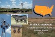 MARK GARDINER - FarmSmart · PDF fileCattle - Gardiner Angus Ranch •1600 commercial cows •600 registered cows ... h r o n i z e E s t r u s Ultrasound pregnancy diagnosis Ultrasound