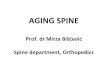 AGING SPINE Prof. dr Mirza Bišćević Spine department ... · PDF file- spondilolistesis or other spine instabilities. Be avare:-diagnosis confirmed by radiological tests, and no