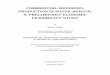 COMMERCIAL BIODIESEL PRODUCTION IN SOUTH · PDF fileCOMMERCIAL BIODIESEL PRODUCTION IN SOUTH AFRICA: A PRELIMINARY ECONOMIC FEASIBILITY STUDY by Mirco Nolte Thesis submitted in partial
