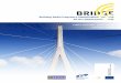 Building Radio Frequency Identification Solutions for the ... · PDF fileBuilding Radio Frequency Identification Solutions for the Global Environment FINAL REPORT 2006-2009 ... a response