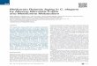 Metformin Retards Aging in C. elegans by Altering Microbial …ucbtdag/Cabreiro_2013.pdf · Metformin Retards Aging in C. elegans by Altering Microbial Folate ... by altering microbial