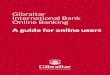 Gibraltar International Bank Online Banking · PDF fileWelcome to the Gibraltar International Bank Online Banking platform. ... Our Online Banking service provides you with access