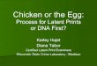 Process for Latent Prints or DNA First? - oninonin.com/fp/20110809_LP_or_DNA_first_hujet_tabor.pdf · Process for Latent Prints or DNA First? ... Copier paper White envelopes Manila