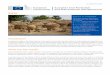 Sahel: Food and Nutrition Crisis - European Commissionec.europa.eu/echo/files/aid/countries/factsheets/sahel_en.pdf · for the Sahel food and nutrition crisis: ... Health centres