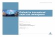 Outlook for International Shale Gas  · PDF fileOutlook for International Shale Gas Development ... to contact more of ... Outlook for International Shale Gas Development