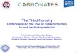 The Third Porosity - AFES. Triple Porosity Carbonates.pdf · Understanding the role of hidden porosity in well test interpretation ... Bourdet, D. (2002). Well Test Analysis: 