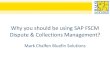 Why you should be using SAP FSCM Dispute & Collections ... · PDF fileWhy you should be using SAP FSCM Dispute & Collections Management? ... configuration Basic SAP FSCM solution to