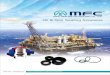 Oil & Gas Sealing Solutions - 211.21.103.68211.21.103.68/eCataLog/oil_gas.pdf  Oil & Gas Sealing Solutions MFC NO.: H06D007E-6 Your Inspiration to Sealing Solutions. ... 101.6 4