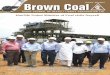 Brown CoalBrown Coal - NLC India Limited · PDF fileWe must improve the availability factor of plants and equipments ... M/s BHEL, Main Plant Package ... allotment of coal block in
