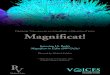 Magnificat! - Squarespace · PDF filethe collection of Latin American Choral Music Authors published by the Vicente Emilio Sojo Foundation contains all the choral work of Carrillo