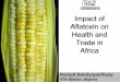 Impact of Aflatoxin on Health and Trade in Africair4.rutgers.edu/GMUS/Nairobi Bio Evalworkshop/healthandtrade... · Impact of Aflatoxin on Health and Trade in Africa Ranajit Bandyopadhyay