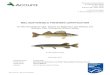 MSC SUSTAINABLE FISHERIES CERTIFICATION · PDF fileMSC SUSTAINABLE FISHERIES CERTIFICATION On-Site Surveillance Visit - Report for Waterhen Lake Walleye and ... focusing on those PIs