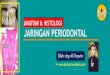 ANATOMI & HISTOLOGI JARINGAN PERIODONTAL · PDF fileFENESTRASI DEHISENSI . drg Ali Taqwim/ KG UNSOED 35 FENESTRATION - isolated areas which the root is denuded of bone and root surface