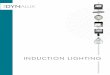 InductIon LIghtIng - Mule Lighting — · PDF fileinduction lighting Induction lamps are one of the newest energy-saving lighting technologies developed in ... Fixture S/P Factor 2.0