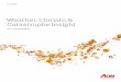 Weather, Climate & Catastrophe Insightthoughtleadership.aonbenfield.com/...report-weather-climate-2017.pdf · 4 Weather, Climate & Catastrophe Insight— 2017 Annual Report For the