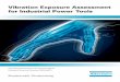 Vibration Exposure Assessment for Industrial Power · PDF fileA pocket guide based on the Physical Agents ... of standardization groups regarding hand-arm vibrations. ... c. Carry