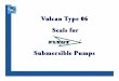 Vulcan Type 06 Seals for Submersible  · PDF fileTypical Flygt Pump Design Motor Bearings Inner Seal Oil Reservoir Outer Seal Impeller