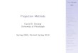 Projection Methods - University of Pittsburghdejong/Projection_Methods_Handouts.pdf · Quadrature Methods Monte Carlo Integration Starting Values Establishing Ranges for Approximation