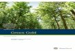 ShareWood Group Green Gold · PDF fileBusiness economist, ... Institute of Technology Dr. of Agronomy, qualified agricultural engineer, ... Diploma VSK/HWD ShareWood Group Management