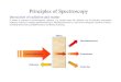 Principles of Spectroscopy - Middle Tennessee State …mtweb.mtsu.edu/nchong/Spectroscopy-CHEM6230.pdf · Principles of Spectroscopy. Electromagnetic Spectrum Type of Radiation Frequency