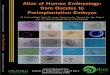 Atlas of Human Embryology: from Oocytes to Preimplantation ...materiais.dbio.uevora.pt/BD/Intro/Atlas.pdf · Atlas of Human Embryology: from Oocytes to Preimplantation Embryos M