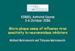 Micro-plaque assay of influenza virus sensitivity ... - · PDF fileMikhail Matrosovich and Tatyana Matrosovich VIRGIL Antiviral Course 3-6 October 2006 Micro-plaque assay of influenza