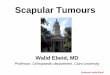 Scapular Tumours - Orthopaedic Oncology tumours.pdf · Scapular Tumours Walid Ebeid, MD Professor, Orthopaedic department, ... • Incidence: 3% of bone tumours • Benign Tumours: