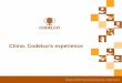 CARTA DE CODELCO - Expomin · PDF fileFuture Plans of Codelco in China Emerging Markets Office • US$ 50,000,000 Codelco’s operational spend in China through Emerging Markets Office,