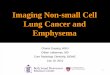 Imaging Non-small Cell Lung Cancer and Emphysemaeradiology.bidmc.harvard.edu/LearningLab/respiratory/ouyang.pdf · Imaging Non-small Cell Lung Cancer and Emphysema Chensi Ouyang,
