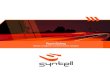 Syntell Road Safety Electronic Brochure - Syntell (Pty) Ltd Road Safety... · Syntell’s Road Safety business provides turnkey solutions to enable vehicle related enforcement services