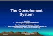 The Complement System.ppt file/Complement System.pdf · Introduction.. • The complement system refers to a series of proteins circulating in the blood and bathing the fluids surrounding