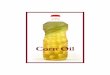 Corn Oil 2006 · PDF file3 Golden corn oil sitting on the pantry shelf often serves as the most visible sign of the corn refining industry to most Ameri-cans. Although corn oil represents