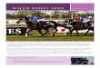 Waller weekly news 8 august, 2014cwallerracing.com/uploadmedia/CWR-Newsletter-08.08.2014.pdf · 8 august, 2014 Chris Waller Racing started season 2014-15 with a bang – winning the