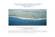Ashepoo-Combahee-Edisto (ACE) Basin National · PDF fileNational Estuarine Research Reserve Management Plan ... WMA Wildlife Management Area. 1 ... protection of the South Edisto River