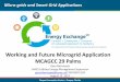 Micro-grids and Smart Grid Applications · PDF fileWorking and Future Microgrid Application MCAGCC 29 Palms Micro-grids and Smart Grid Applications ... – Contingency plans for loss