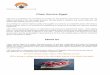 Chem Service Egypt - Shipserv Profile..pdf · Chem Service Egypt CSE and its employees are committed to provide you with products and services consistent with the ... Scupper Plugs