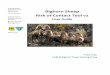 Bighorn Sheep Risk of Contact v2 Users Guide · PDF fileBighorn Sheep. Risk of Contact Tool. v2. User Guide. Prepared by: FS/BLM Bighorn Sheep Working Group . United States Department