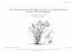 An Evaluation of Turfgrass Species and Varieties: · PDF filean evaluation of turfgrass species and Varieties: Kentucky Bluegrass annamarie pennucci Faculty Associate Department of