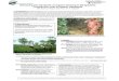 Assessing the Standards of Organic Farming in · PDF fileAssessing the standards of organic farming in Bangladesh: Comparison with European Standards ... Proshika, UBINIG, Kazi and
