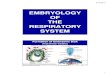 EMBRYOLOGY OF THE RESPIRATORY SYSTEM - UWI …sta.uwi.edu/fms/MDSC1001/Respiratory_Embryology.pdf · 9/15/2010 1 EMBRYOLOGY OF THE RESPIRATORY SYSTEM Formation of Embryonic Disk (first