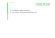 Understanding Carrier Aggregation - Microsoftvertassets.blob.core.windows.net/download/a8782958/a8782958-3c88... · Understanding Carrier Aggregation ... HSPA carrier aggregation