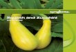 Squash and Zucchini - Syngenta | United · PDF fileSquash and Zucchini CROP GUIDE. Supporting the Industry ... Through our AgriEdge Excelsior® program, we’re providing growers with
