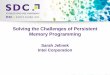 Solving the Challenges of Persistent Memory Programming · PDF fileSolving the Challenges of Persistent Memory Programming ... pmem just follows this decades-old model ... 11 . 2015