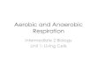 Aerobic and Anaerobic Respirationhansonbiology.weebly.com/.../7/7/8/17781999/int_2_bio_respiration.pdf · Learning Objectives •Describe anaerobic respiration as the breakdown of