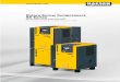 Rotary Screw Compressors SX Series - · PDF fileRotary Screw Compressors SX Series ... motor and the switching cabinet and for compressor intake air. Last, but not least, SX series