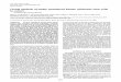 Clonal analysis transduced epidermal in · PDF filepersistence ofthe regenerated epidermis during the patient's ... following the everted-flap technique describedby ... Clonal analysis