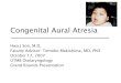 Congenital Aural Atresia - University of Texas Medical · PDF fileCongenital Aural Atresia Hwa J Son, M.D. Faculty Advisor: Tomoko Makishima, MD, PhD October 17, 2007 UTMB Otolaryngology